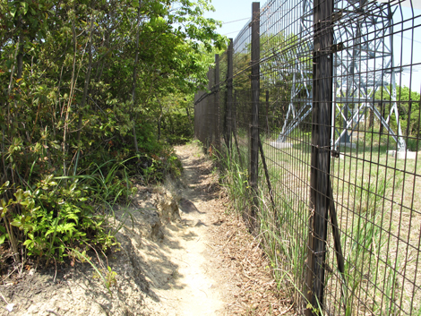 20140426hike (70)
